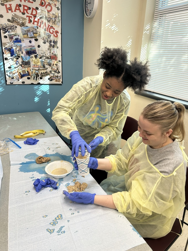 Health Science 3 Digestive Systems