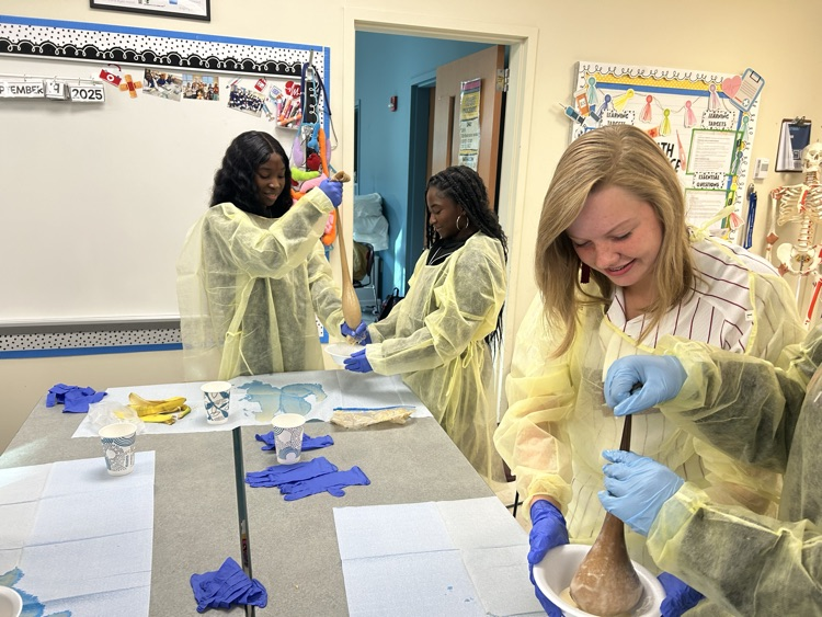 Health Science 3 Digestive Systems