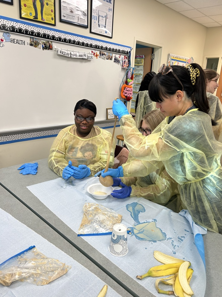 Health Science 3 Digestive Systems