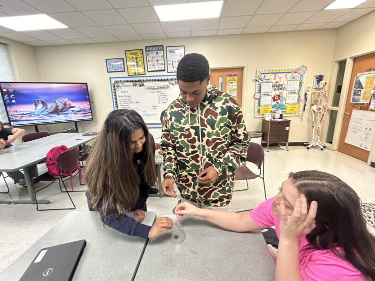 Health Science 1 Teamwork