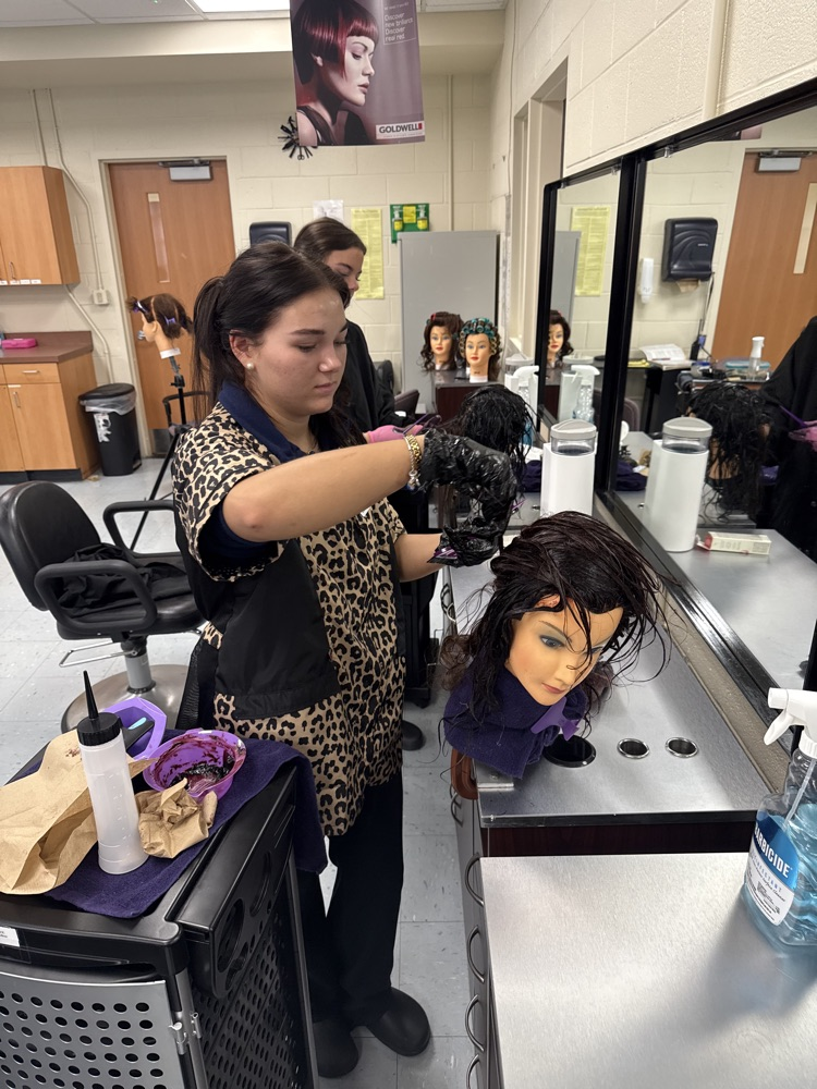 Cosmetology Color & Wave 