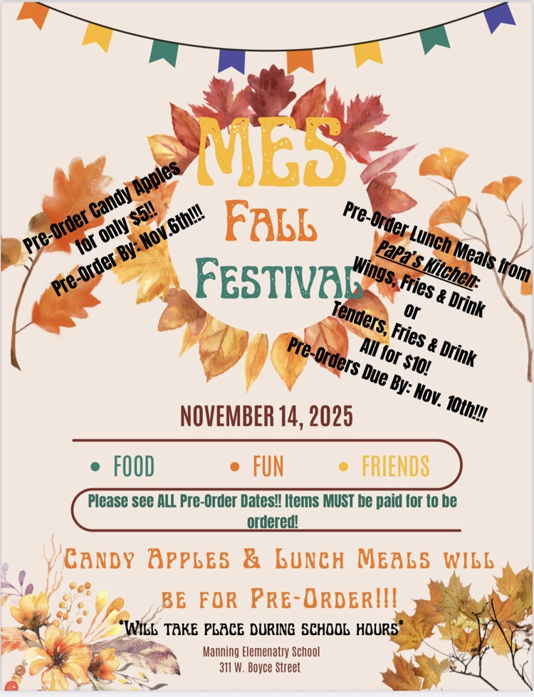 MES FALL FESTIVAL 