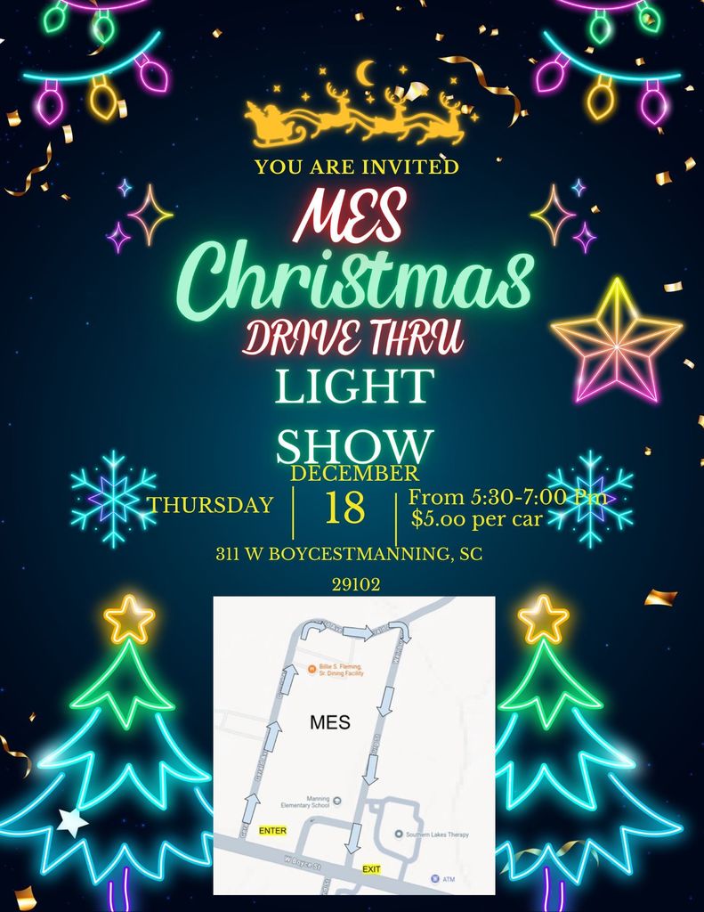 MES 1st Annual Light Show