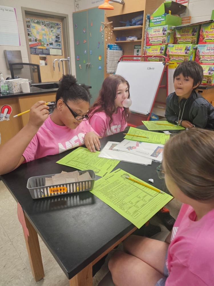 SAVOR THE FLAVOR - STEM