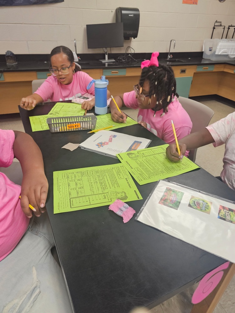 SAVOR THE FLAVOR - STEM