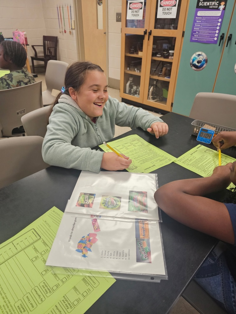 SAVOR THE FLAVOR - STEM