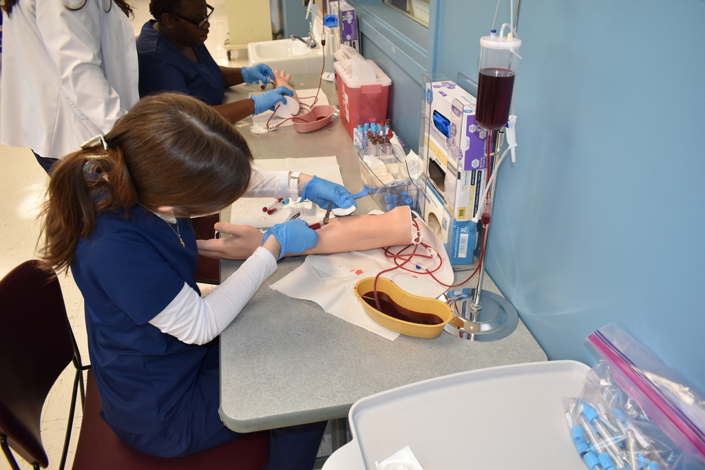 Clinical Studies Students Future Phlebotomist 