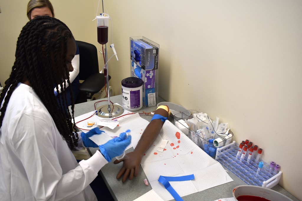 Clinical Studies Students Future Phlebotomist 