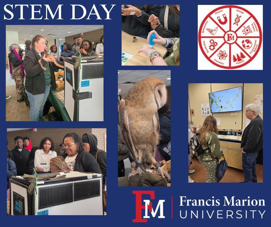 STEM Day