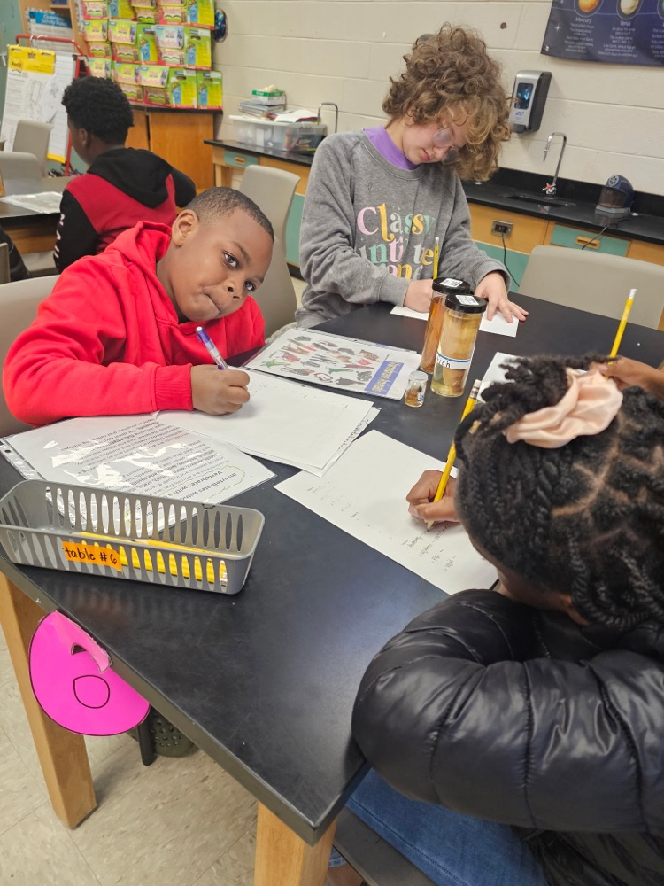 Invertebrates and vertebrates lab!