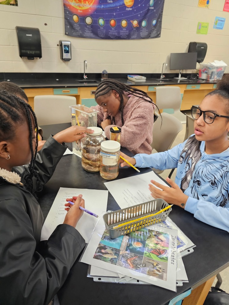 Invertebrates and vertebrates lab!