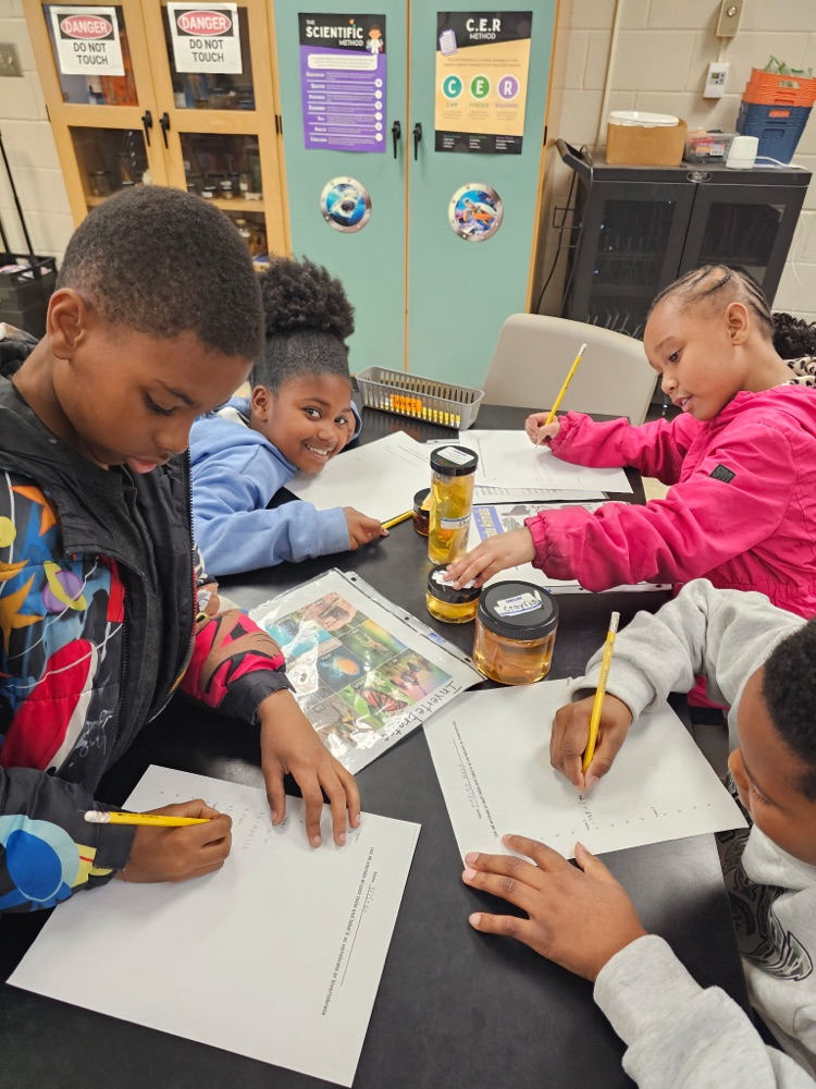 Invertebrates and vertebrates lab!