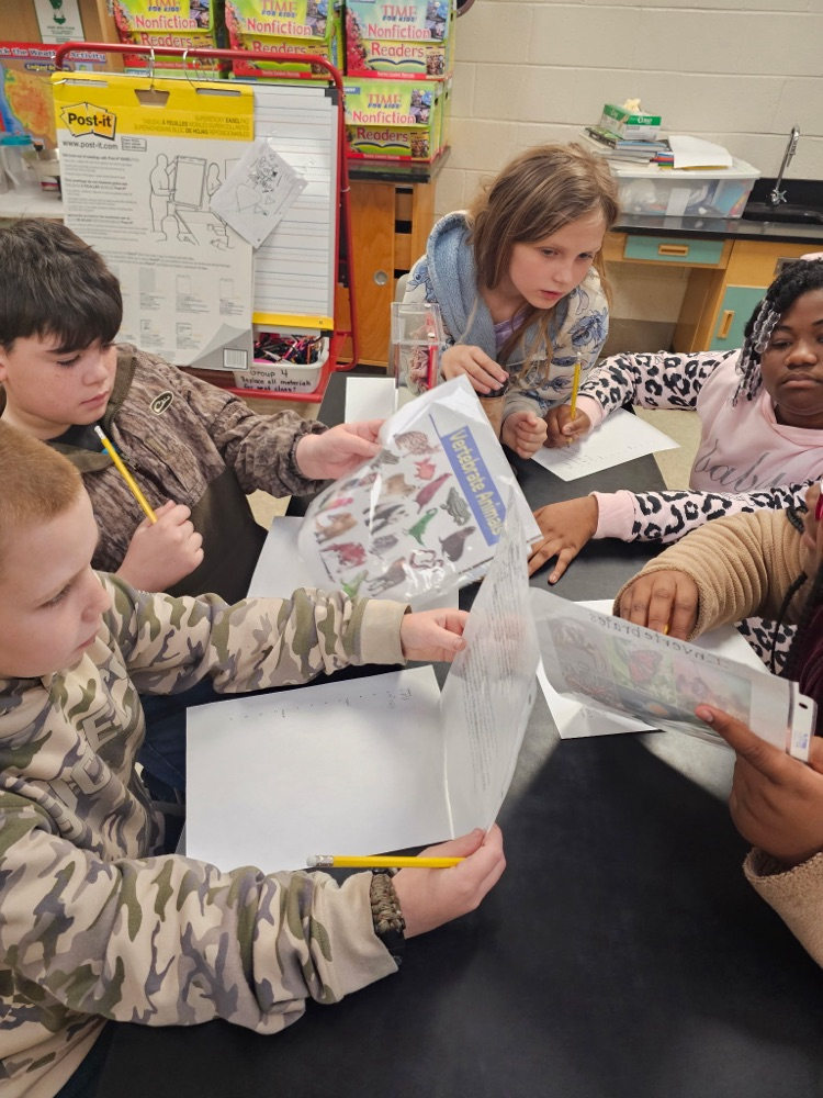 Invertebrates and vertebrates lab!