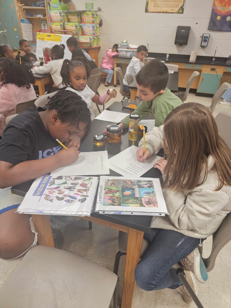 Invertebrates and vertebrates lab!