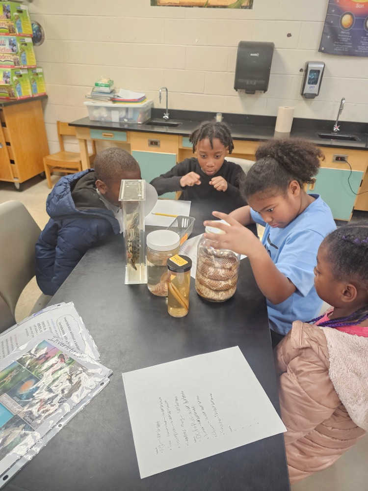 Invertebrates and vertebrates lab!