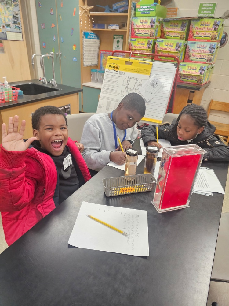 Invertebrates and vertebrates lab!