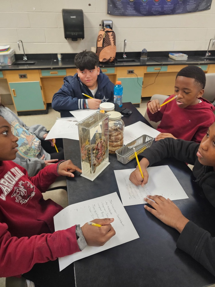 Invertebrates and vertebrates lab!