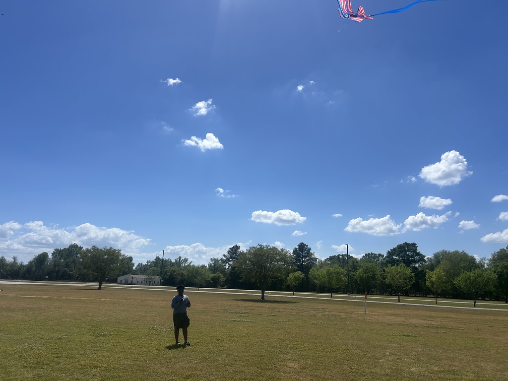 Flying Kites