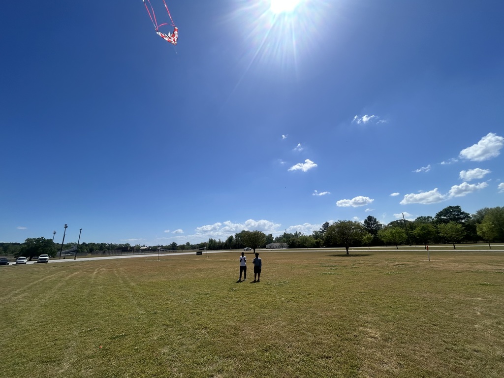 Flying Kites