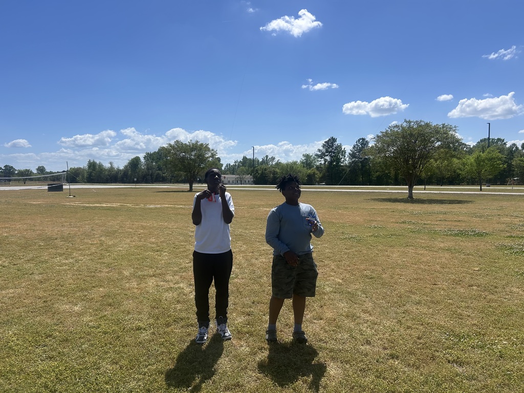 Flying Kites