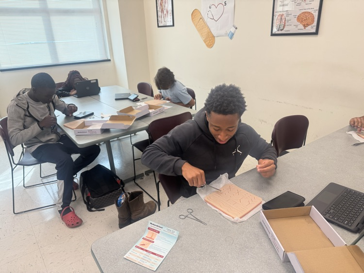 Students I. other pathways practice suturing  