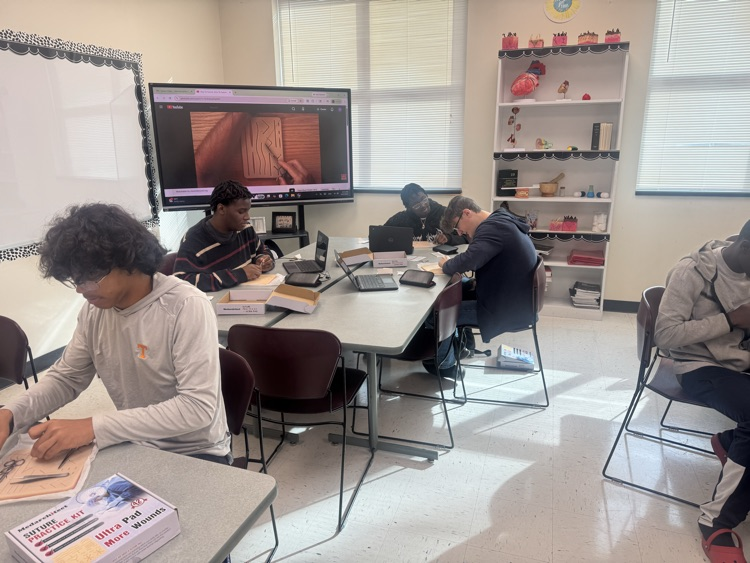 Students I. other pathways practice suturing. 