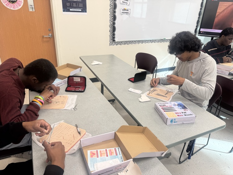 Students I. other pathways practice suturing. 