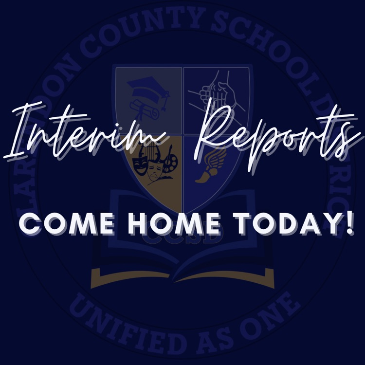 interim reports 
