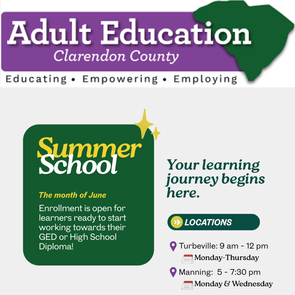 Adult Education Summer School Opportunity