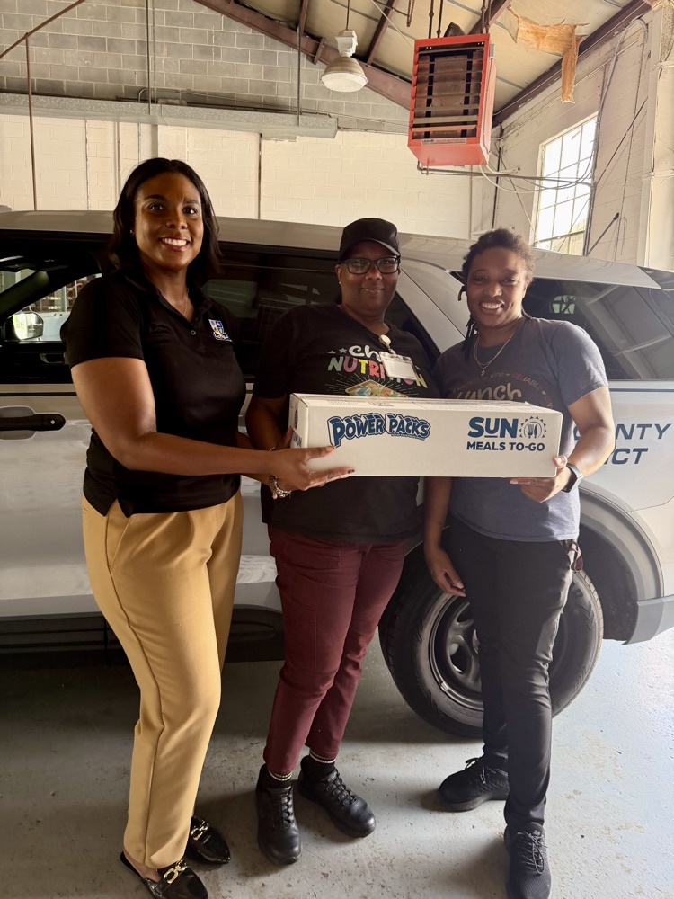 meal boxes 