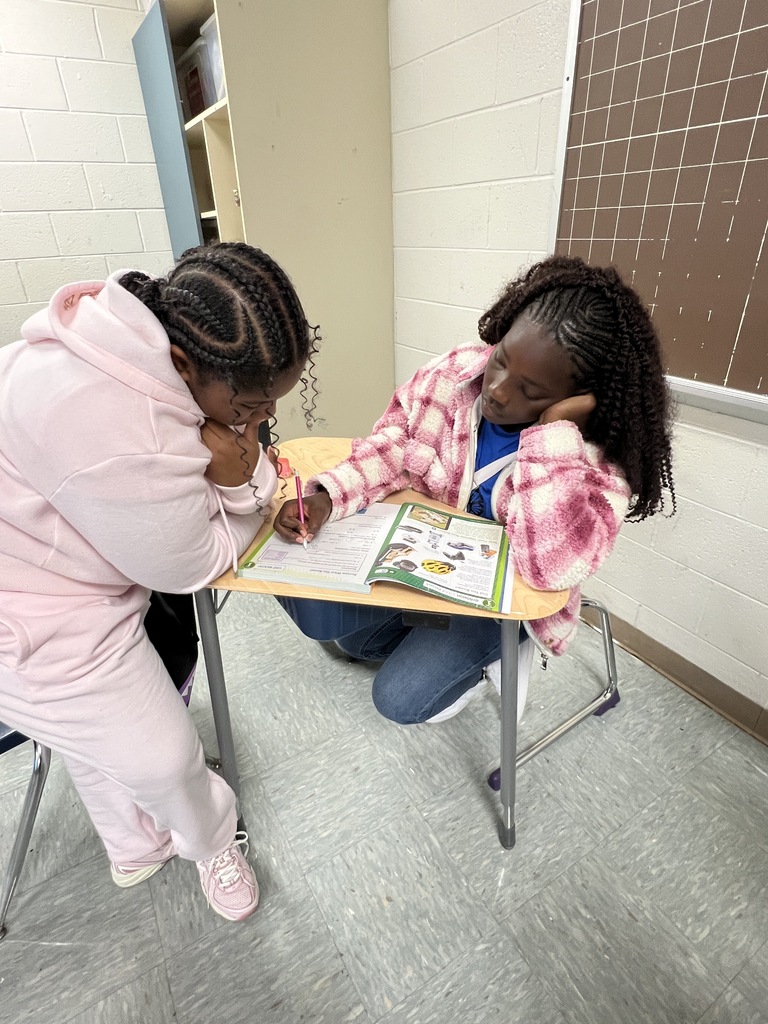 Middle School Scholars