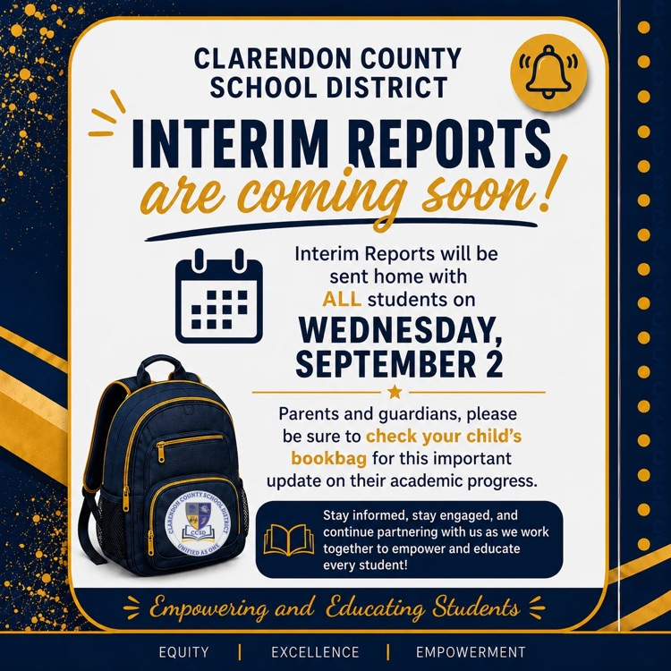 Interim Reports 