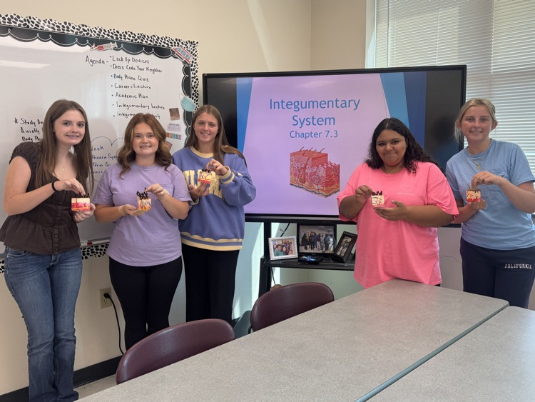 Learning about the Integumentary System
