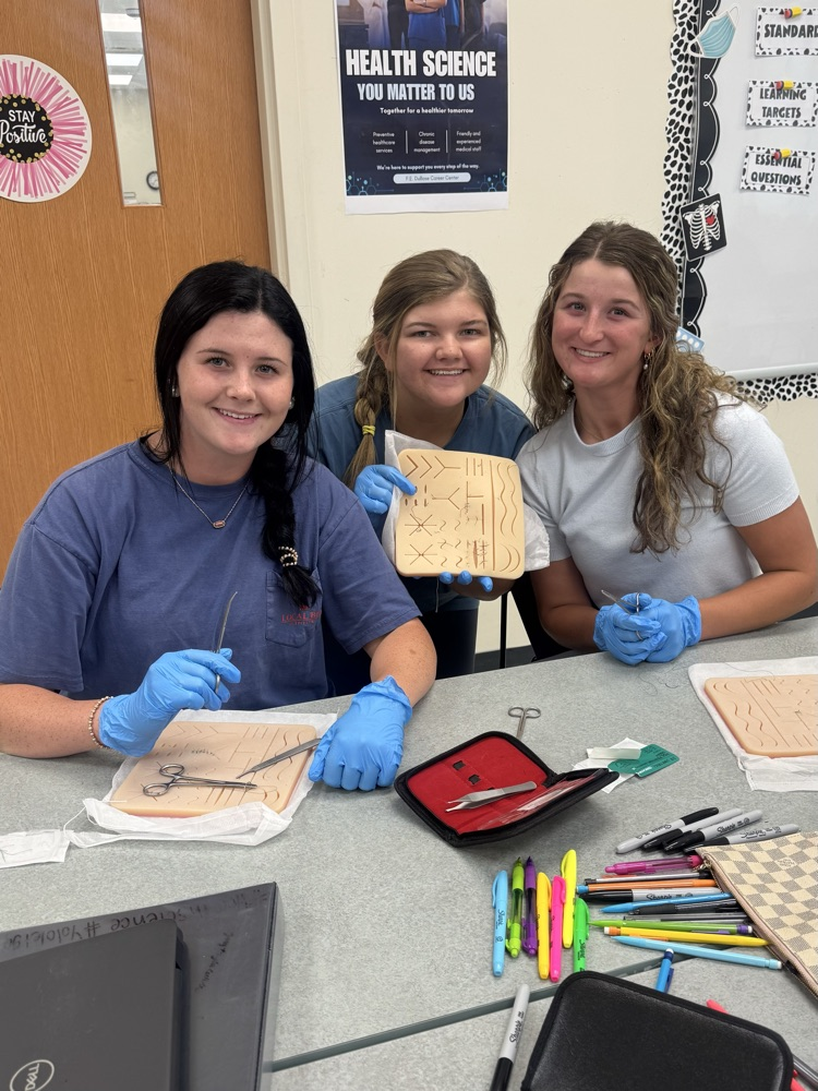 Learning about the Integumentary System