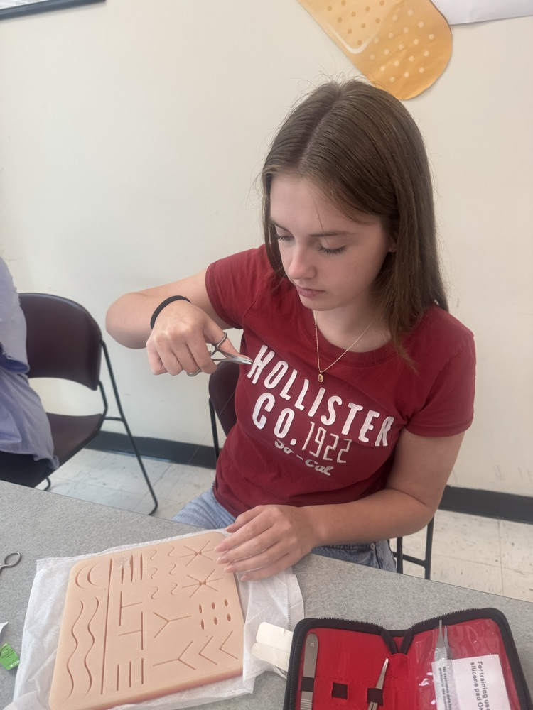 Learning about the Integumentary System