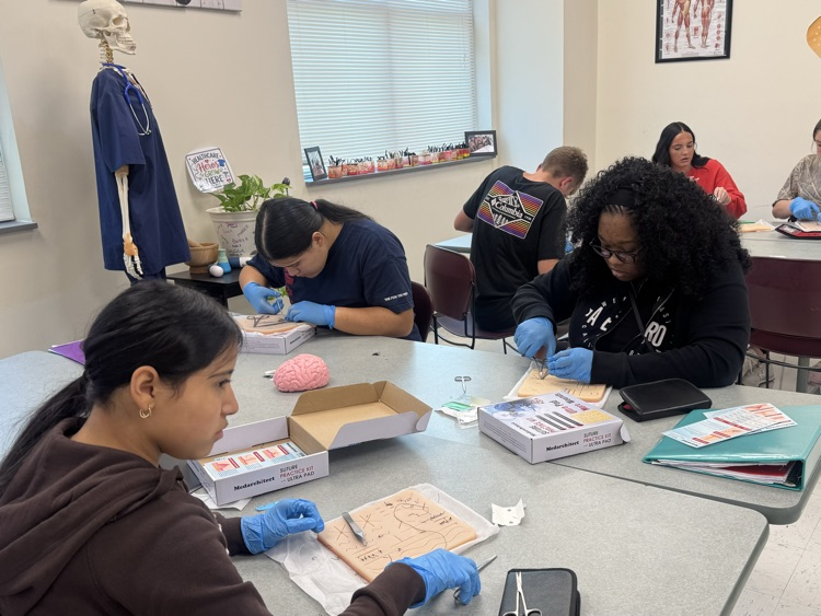 Learning about the Integumentary System