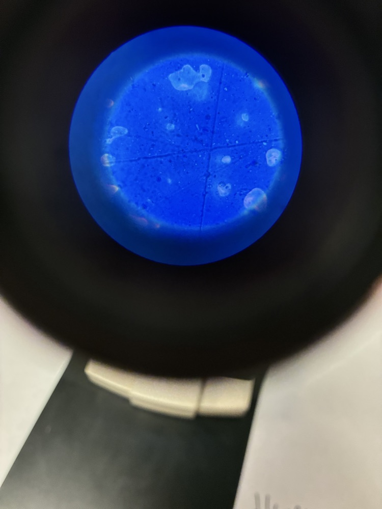 sci