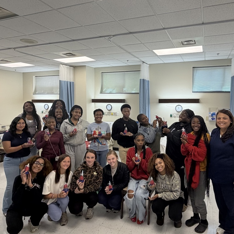 Lungs project in classroom 