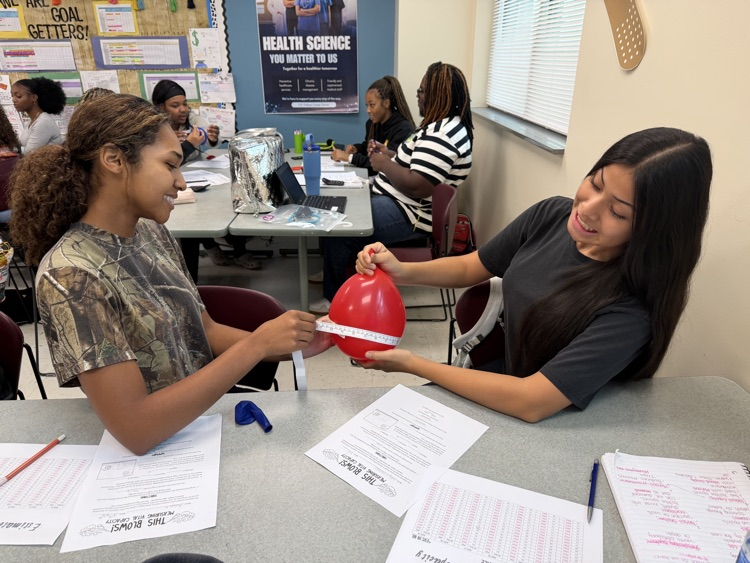 Lungs project in classroom 