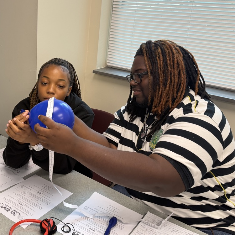 Lungs project in classroom 