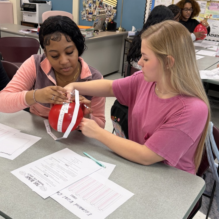 Lungs project in classroom 