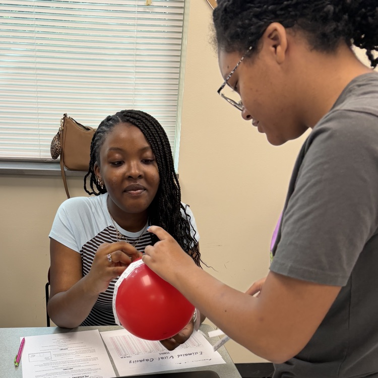 Lungs project in classroom 