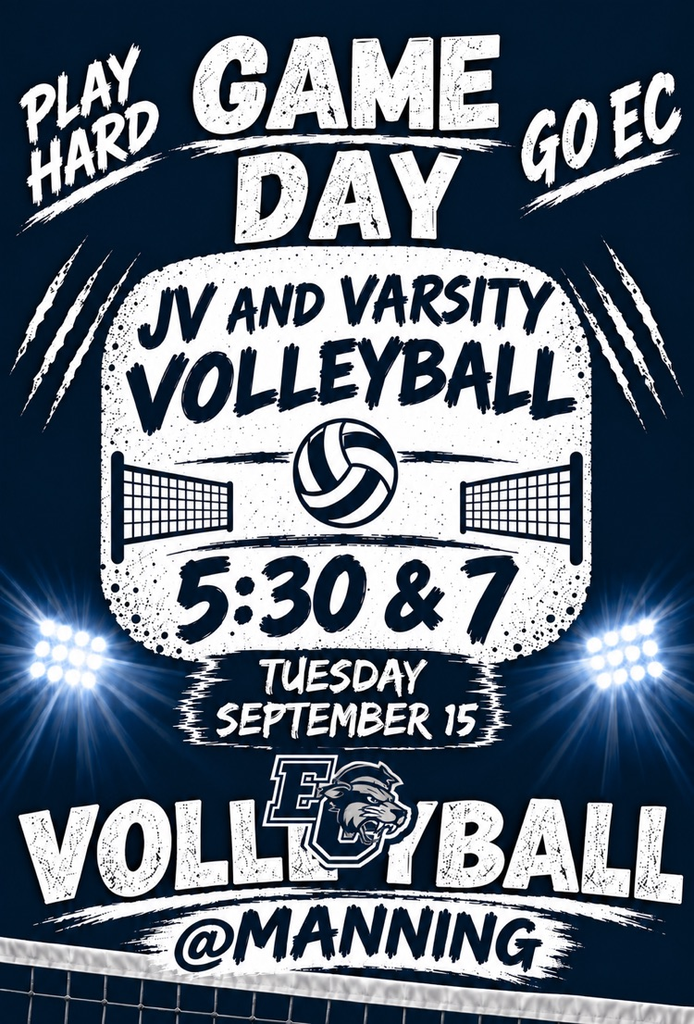 VB