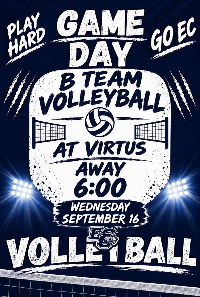 VB
