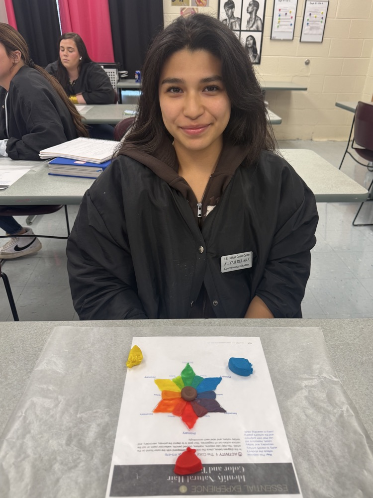 Mrs. Graham’s Cosmetology Student Learning Color Theory in Cosmetology