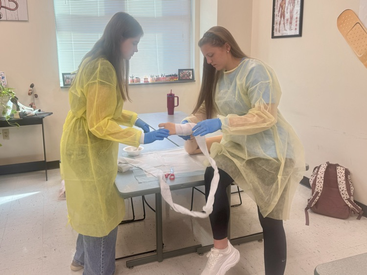 Making Cast in Health Science Class