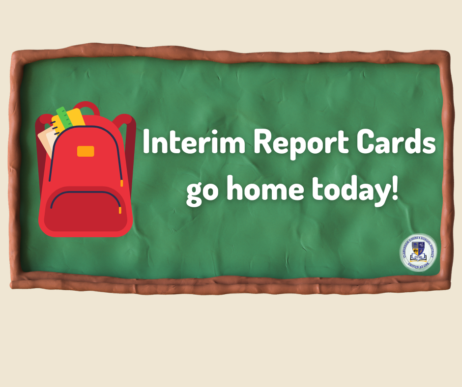 Interims Reports