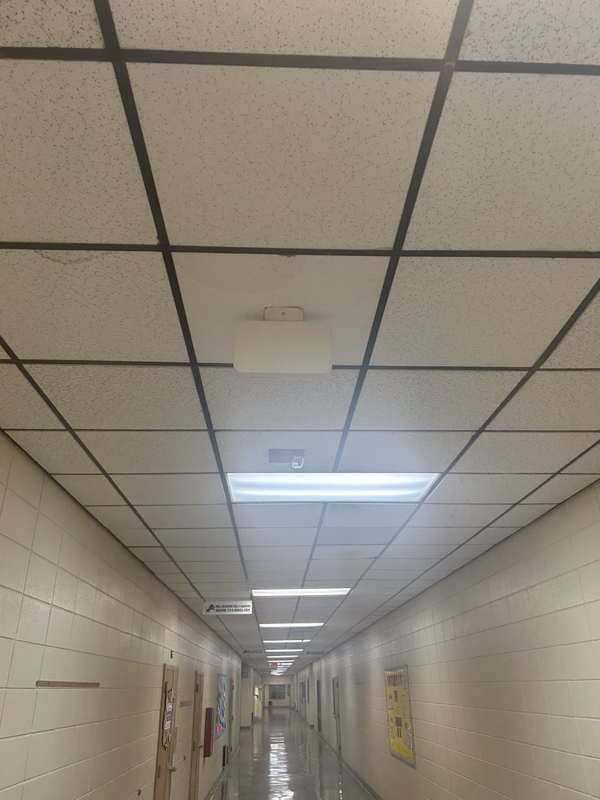 MHS