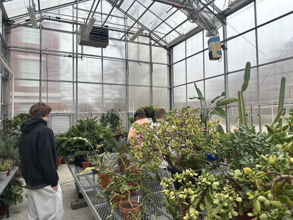 APES at Franklin College