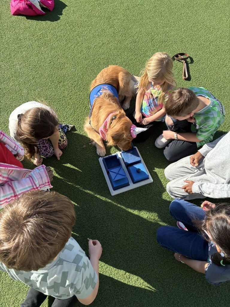 Daphane soliving problems with kids